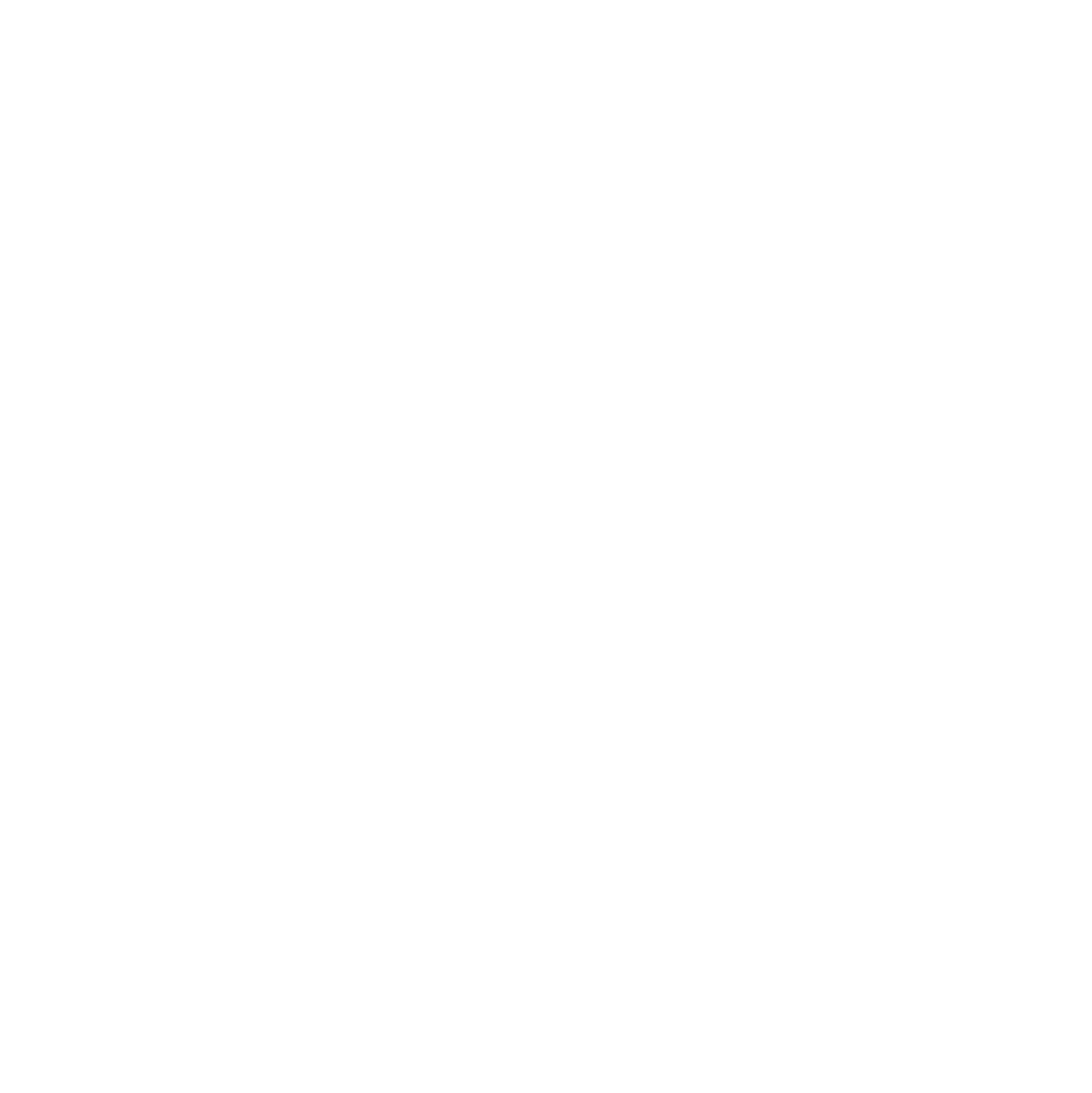 Logotipo Alter Ego Branco
